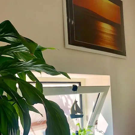 A Oriente Torre dell'Orso